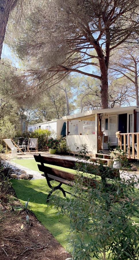 Camping Oasis Village 阿尔让河畔皮热 外观 照片